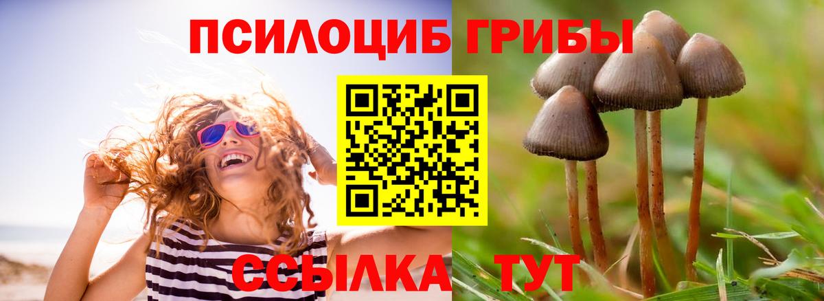 Боровичи  Псилоцибиновые грибы Magic Shrooms  Вход с VPN 